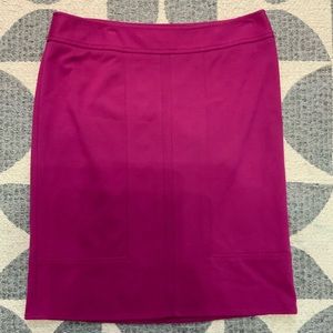Ann Taylor Skirt